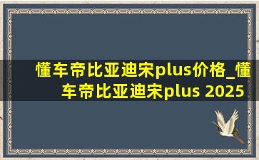 懂车帝比亚迪宋plus价格_懂车帝比亚迪宋plus 2025